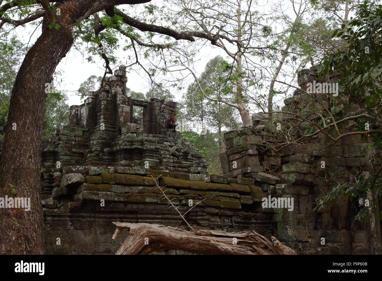 Preah Pithu Gruppe Angkor Thom Siem Reap Kambodscha Stockfoto