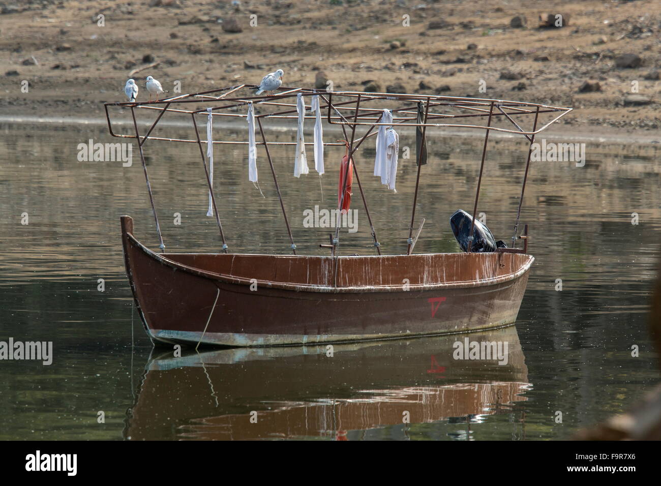 Traditionelles Fischerboot auf See Kerkini mit Lachmöwen, Nord-Griechenland. Stockfoto