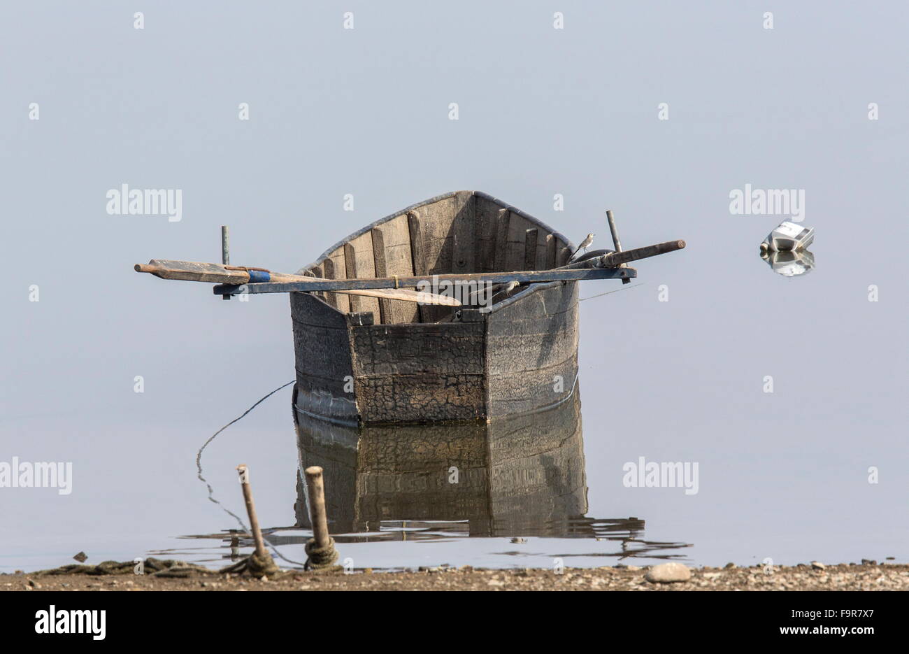 Weiße Bachstelze auf den traditionellen Fischfang Boot auf See Kerkini, am frühen Morgen, Nord-Griechenland. Stockfoto