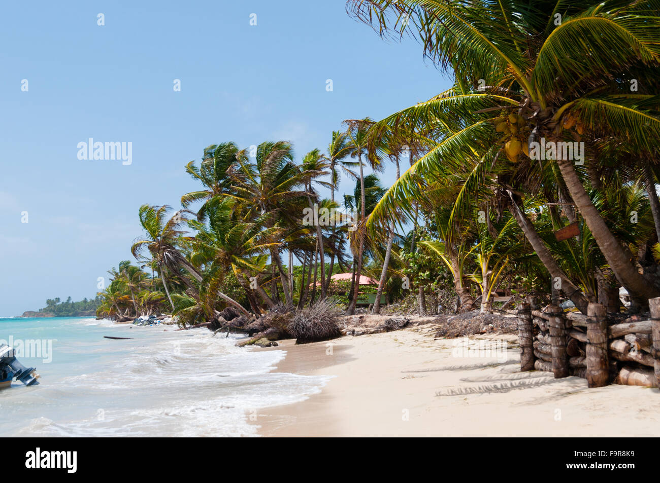 Palmen im Wind am weißen Sandstrand Küste unter blauen Himmel tropischen karibischen Corn Island Stockfoto
