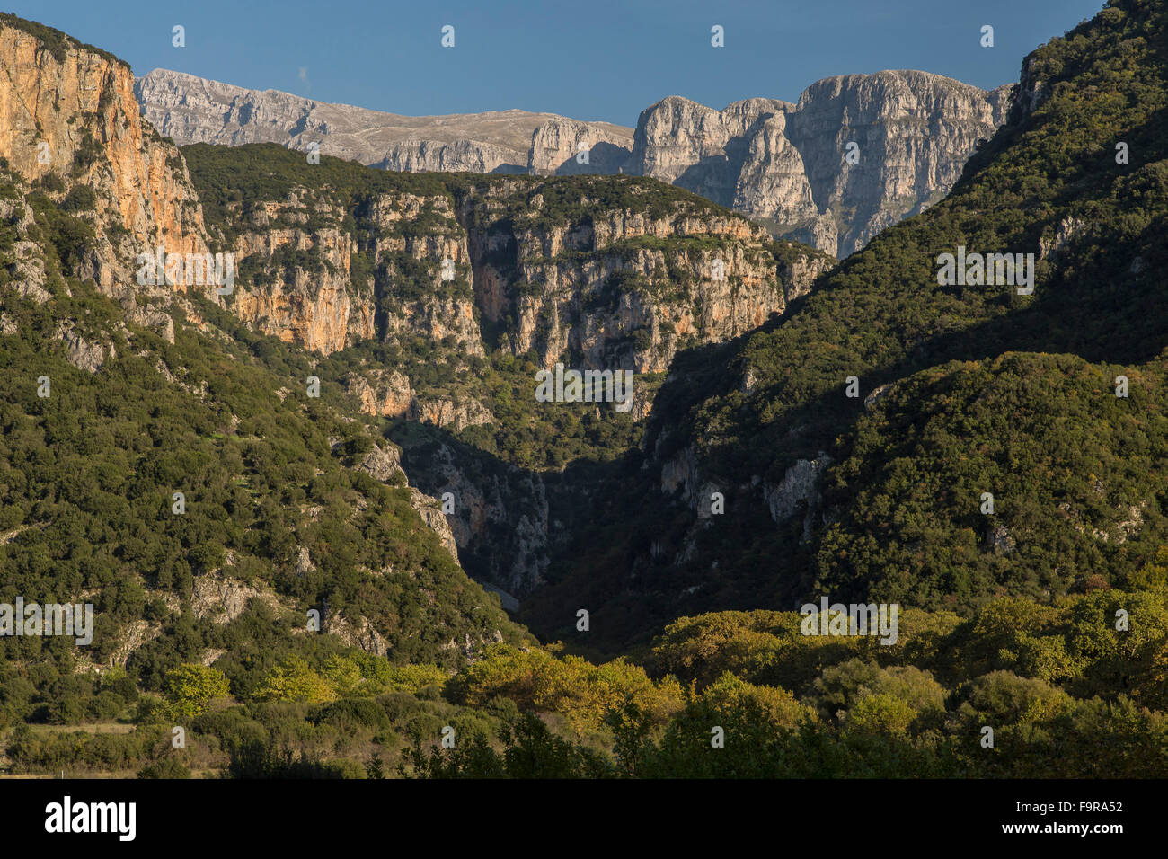 Die Vikos-Schlucht, Nordende, von unten Mikro Papingo im Herbst; Zagori, Epirus, Griechenland. Stockfoto
