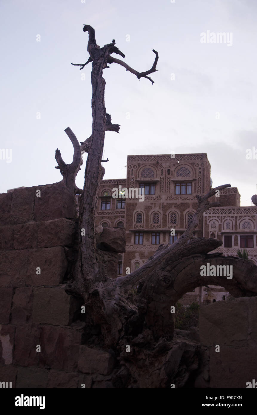 Die alte Stadt von Sana ' a, der ältesten kontinuierlich bewohnten und besiedelte Stadt der Welt, Jemen, UNESCO-Weltkulturerbe Stockfoto