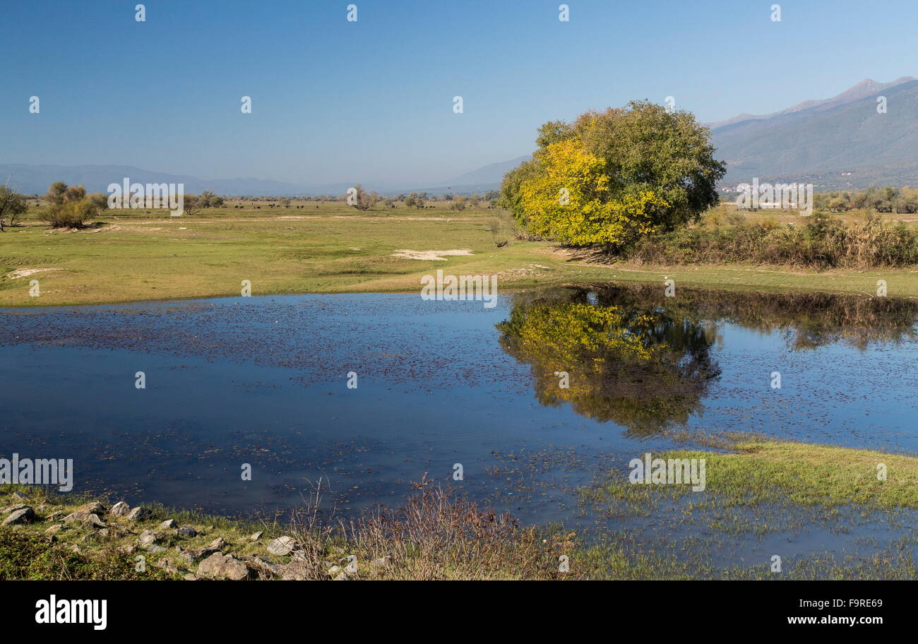 Der attraktive Drawdown Bereich am See Kerkini, Nord Griechenland in Trockenperioden ausgesetzt. Stockfoto