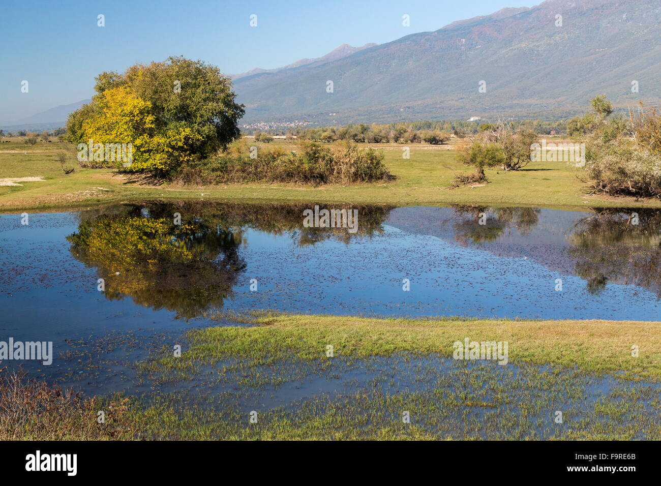 Der attraktive Drawdown Bereich am See Kerkini, Nord Griechenland in Trockenperioden ausgesetzt. Stockfoto