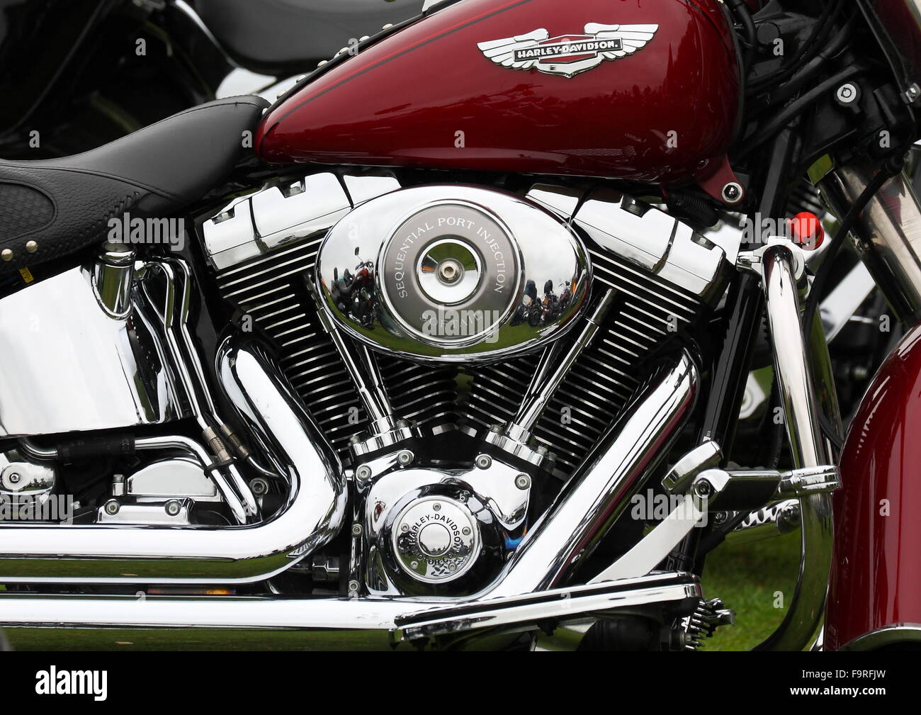 Harley Davidson Softail-Motorrad mit einem glänzenden und polierten Motorblock Stockfoto