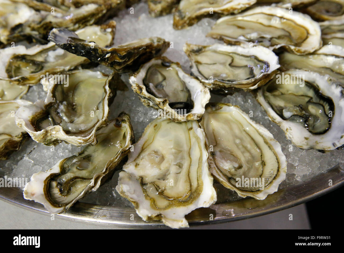 Fisch und Meeresfrüchte. Austern. Stockfoto