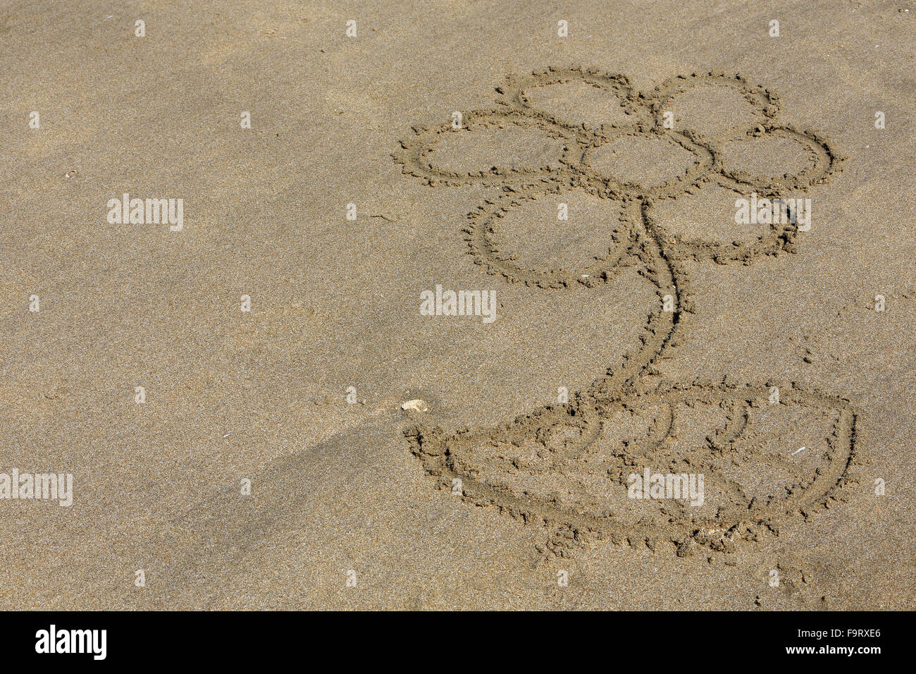 Zeichnung einer Blume auf dem Sand. Stockfoto