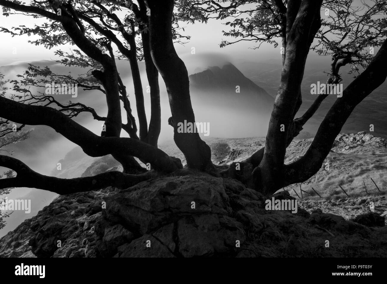 Landschaft von Urkiola Naturpark, Baskenland Stockfoto