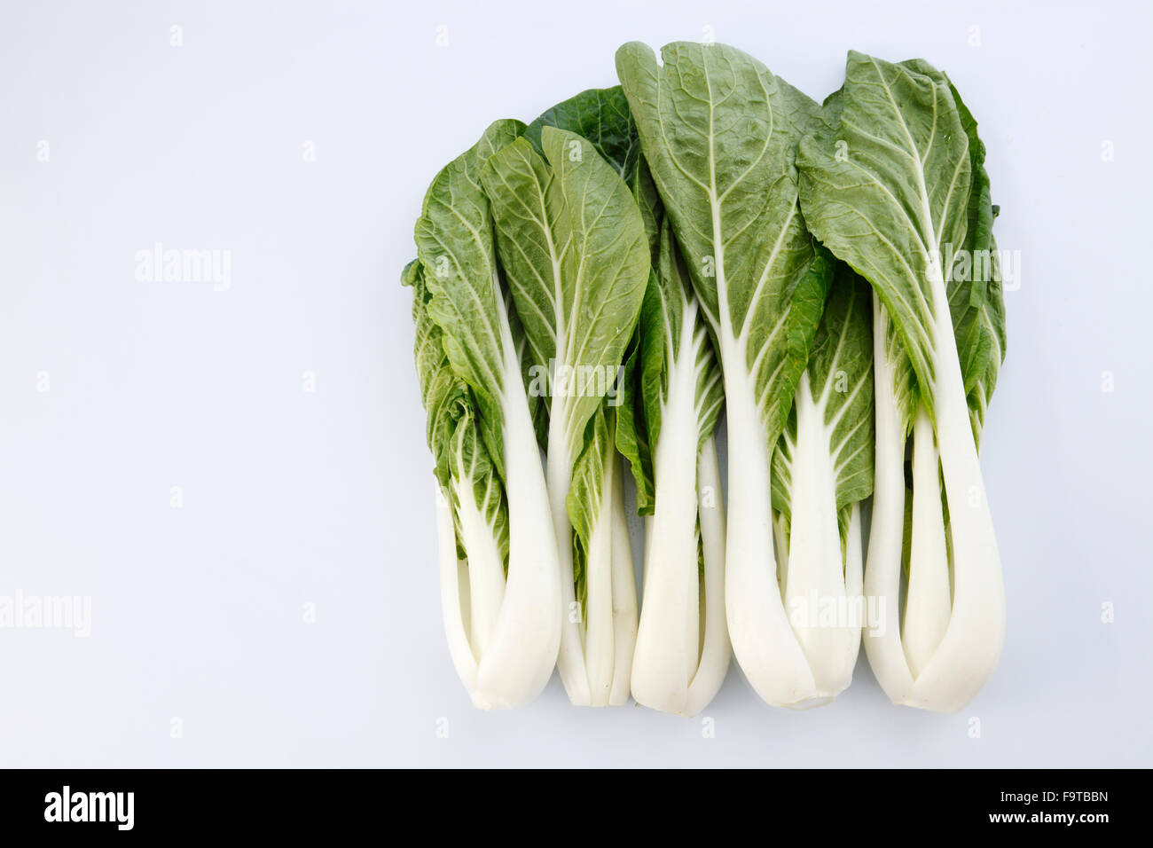 Pak Choy (Chinakohl) isoliert auf weiss Stockfoto