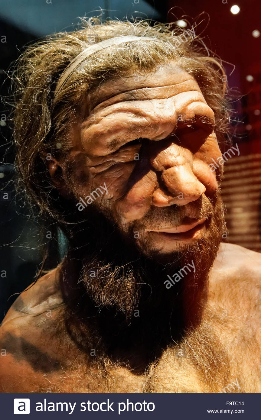 Neandertaler Höhlenmenschen Stockfotos & Neandertaler Höhlenmenschen
