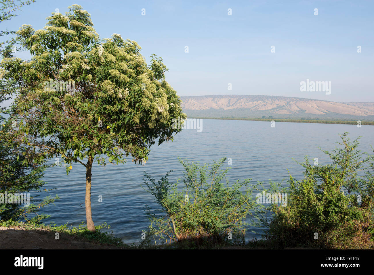 Lake Mburo National Park, Uganda Stockfoto