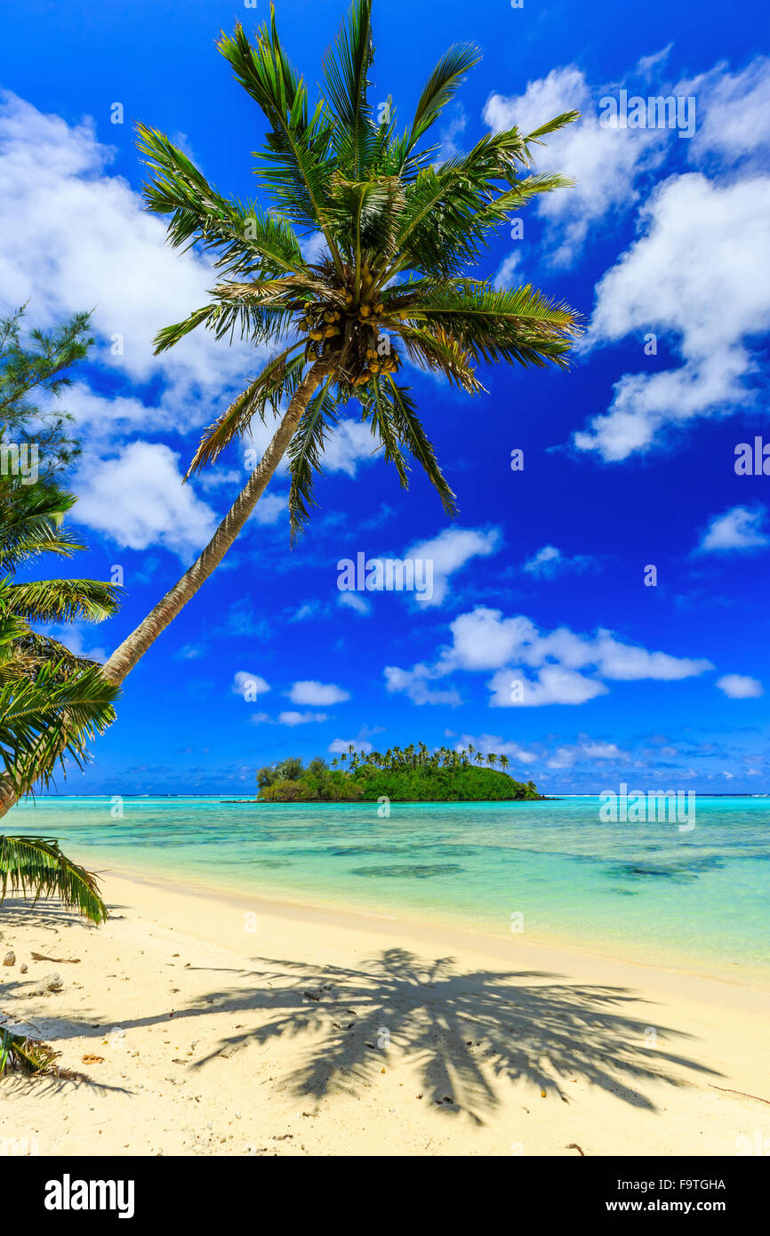 Rarotonga, Cook-Inseln. Motu Insel und Palm Tree, Muri Lagoon. Stockfoto