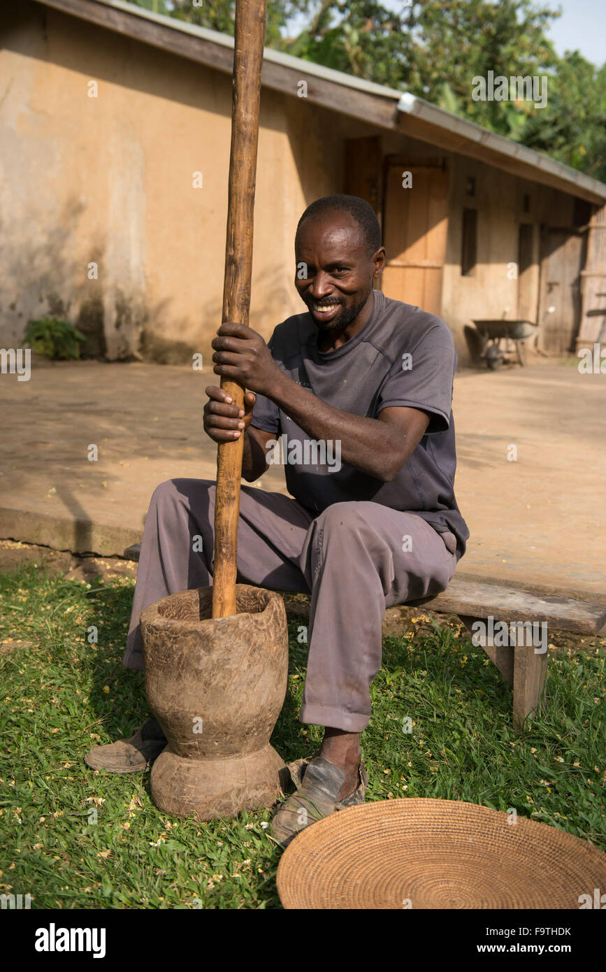 Hämmerte Kaffeebohnen, Omwani Kaffee Frauenkooperative, Uganda Stockfoto