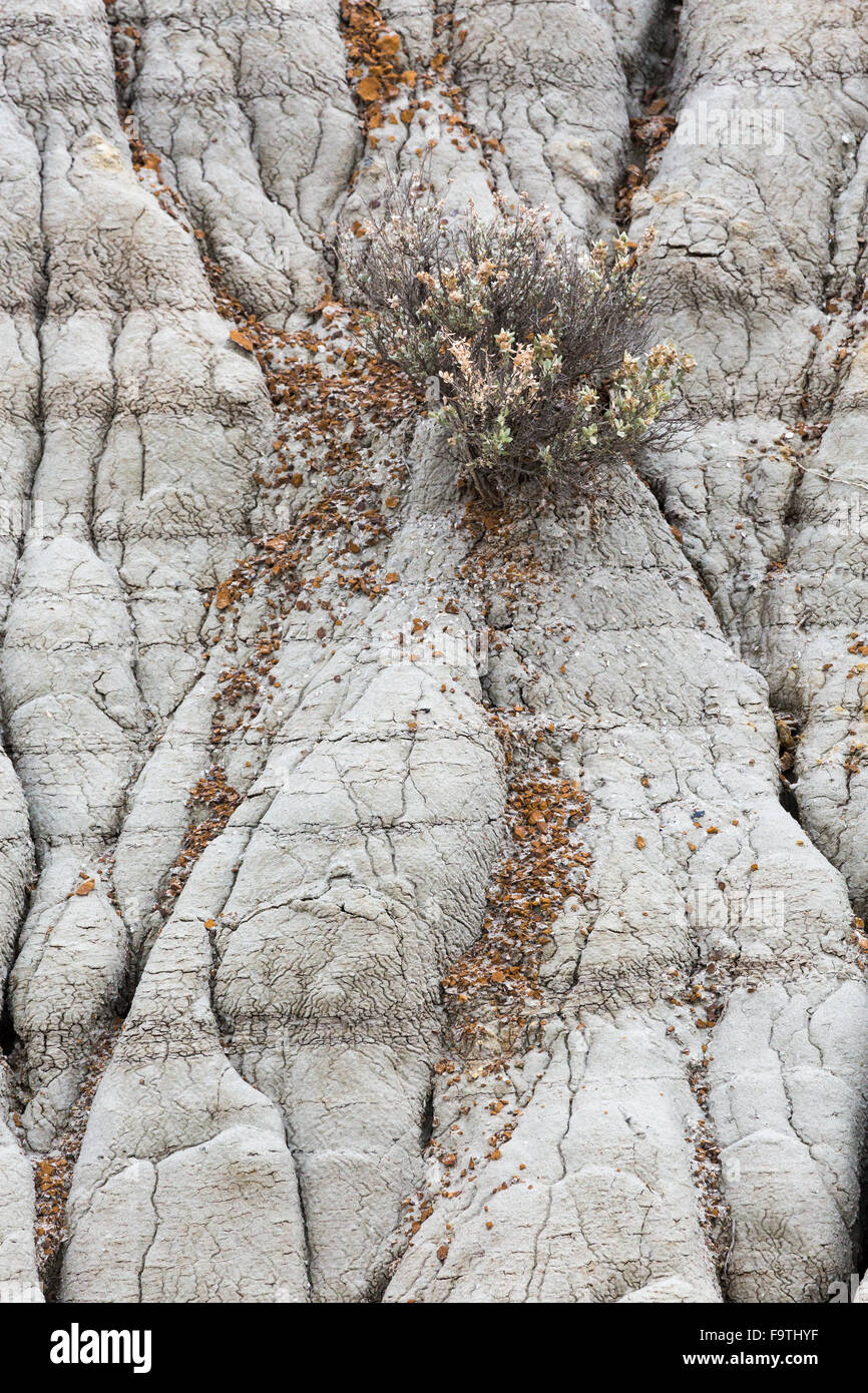 Erodierte Sedimente im Ödland erstellen abstrakte Mustern im Theodore-Roosevelt-Nationalpark in North Dakota. Stockfoto