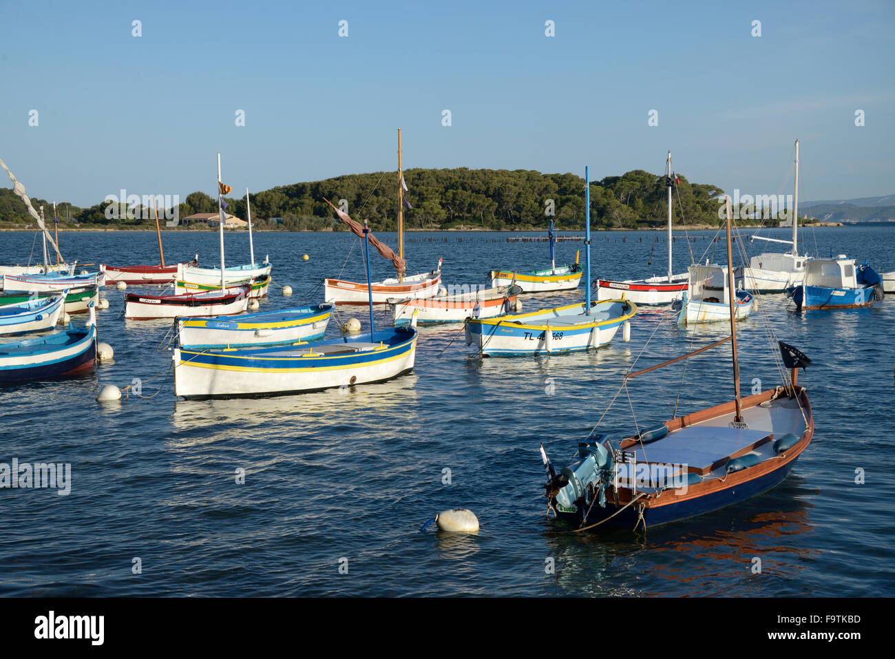 Traditionelle hölzerne Fischerboote bekannt als Barquette günstig vor der Küste in Six-Fours-les-Plages & Grand Gaou Insel, in der Nähe von Sanary Provence Frankreich Stockfoto