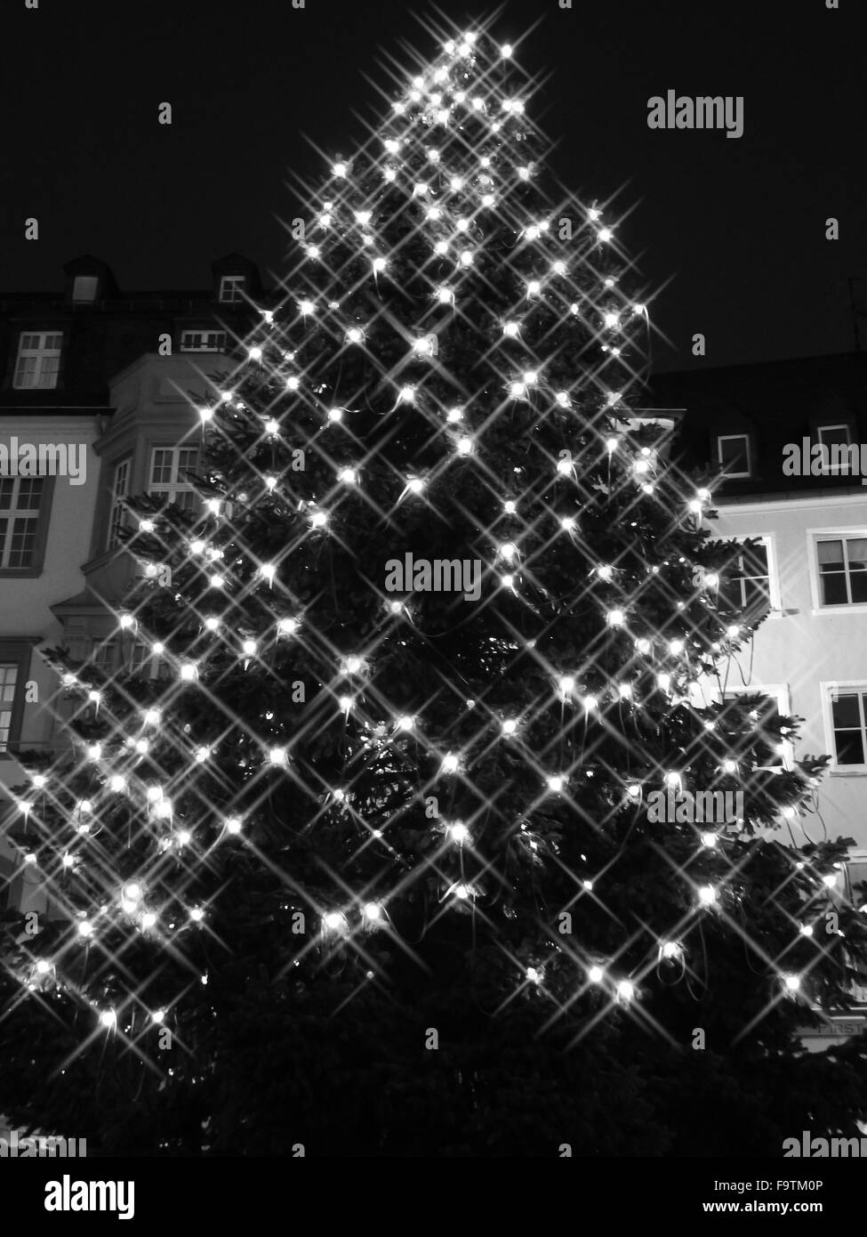 Weihnachtsbaum auf dem Marktplatz in Bonn, Deutschland Stockfoto