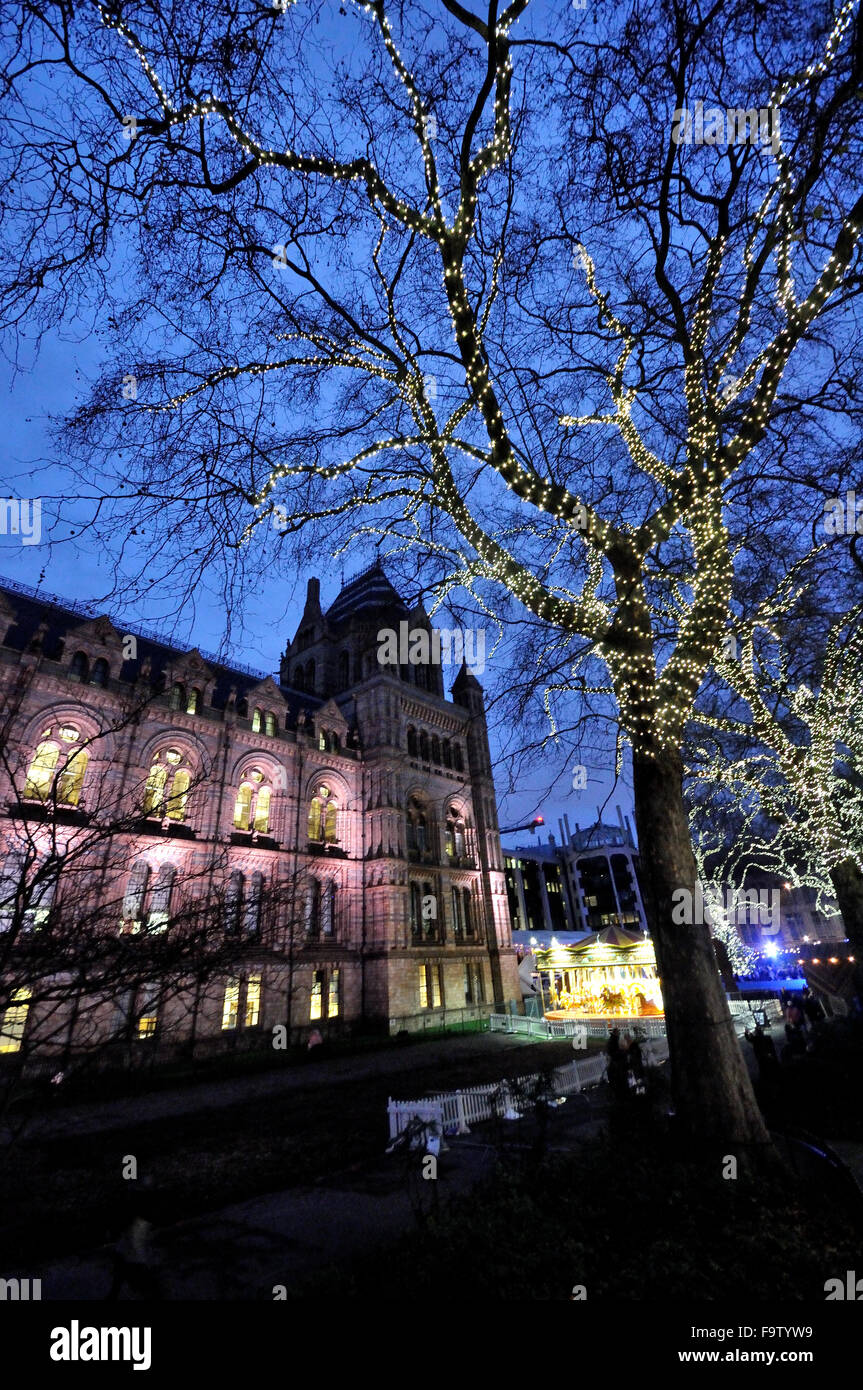 Karussell auf das Natural History Museum, London Stockfoto