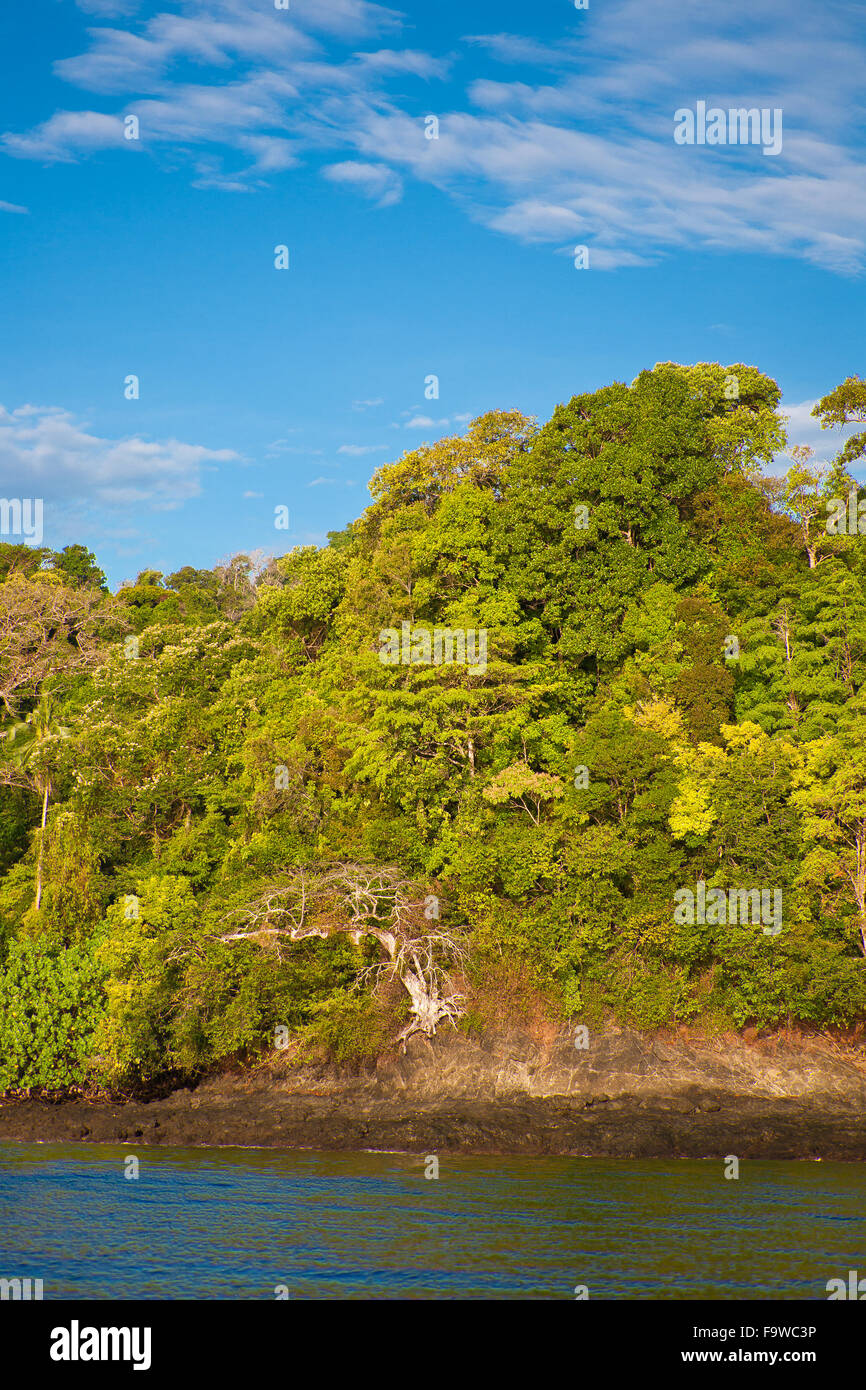 Regenwald auf der Ostseite der Insel Coiba-Nationalpark, Pazifikküste, Veraguas Provinz, Republik von Panama. Stockfoto
