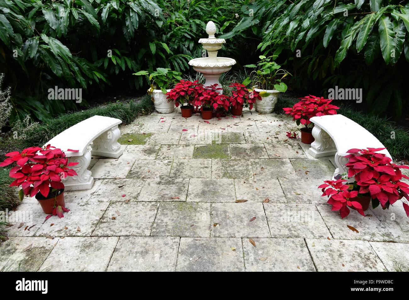 Wasser-Brunnen, Bänke und Blumentöpfe mit Weihnachtsstern in Dunlawton Sugar Mill Gardens, Port Orange, Florida Stockfoto