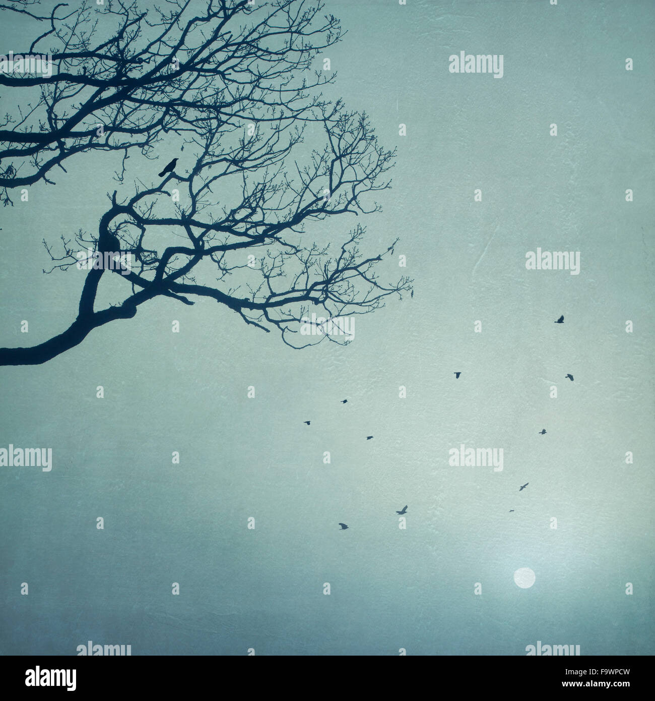 Silhouette von Baum und fliegende Vögel bei Sonnenaufgang Stockfoto