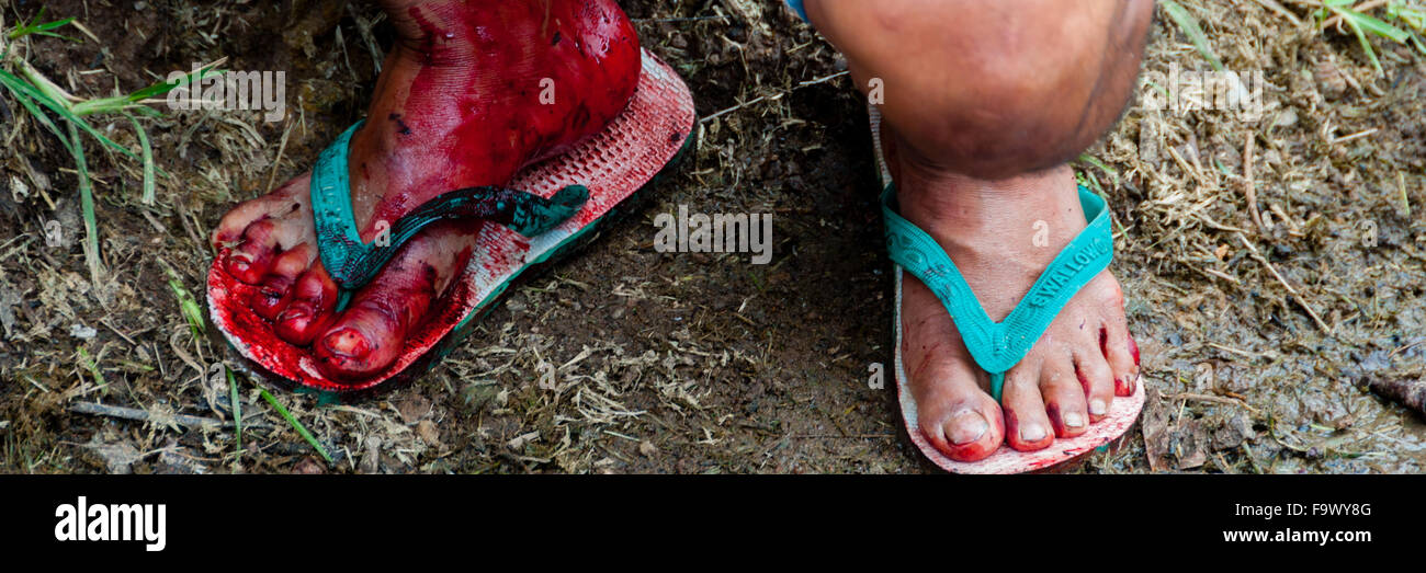 Mann in Flip Schuhe flop voller Blut während einer traditionellen Beerdigung, Tana Toraja Stockfoto