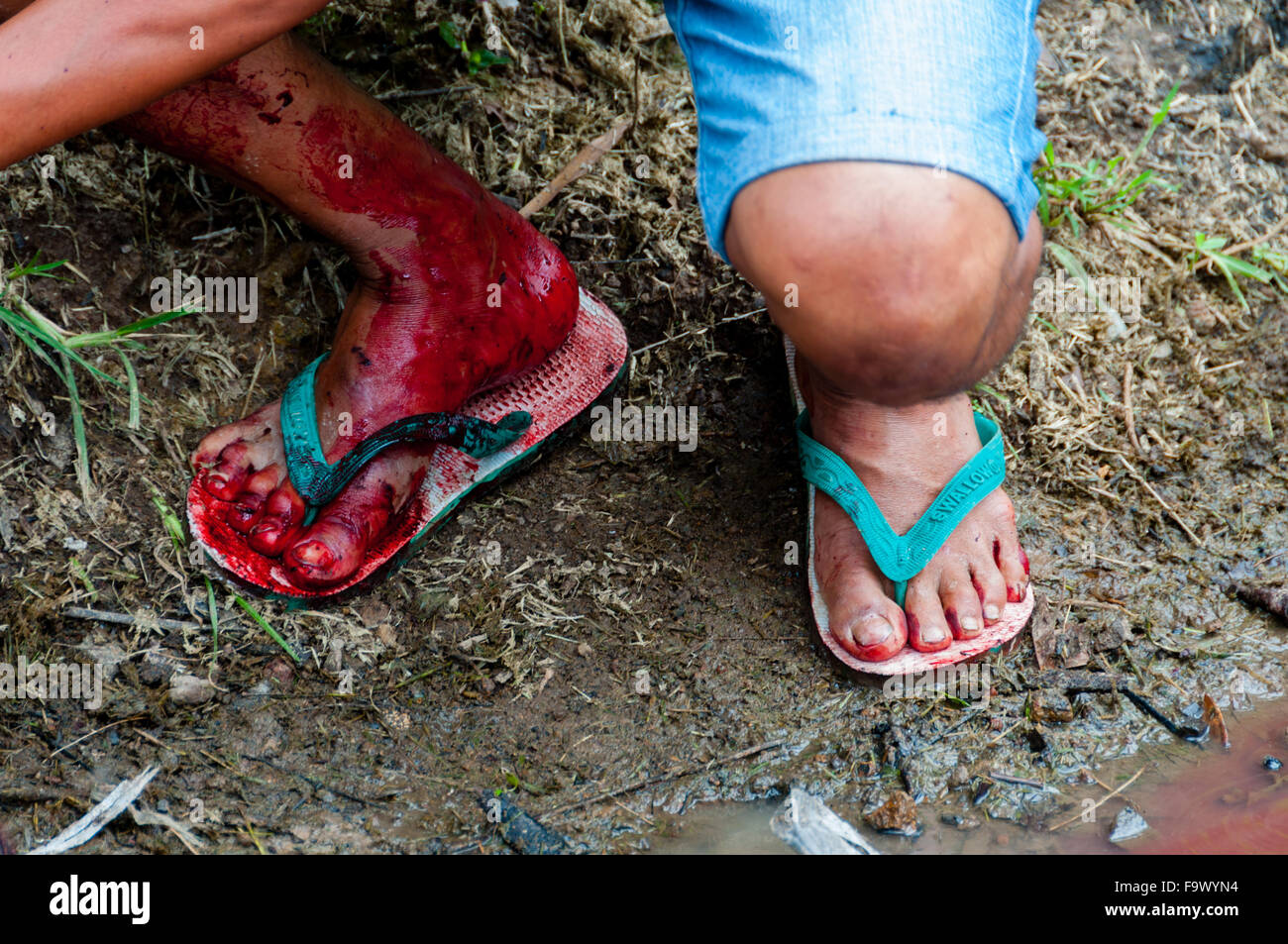 Mann in Flip Schuhe flop voller Blut während einer traditionellen Beerdigung, Tana Toraja Stockfoto