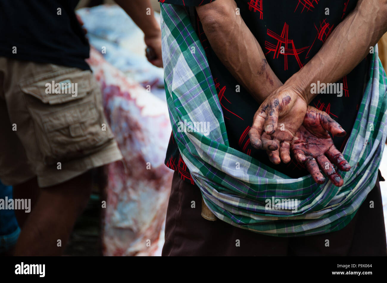Hände voller Blut Rücken eines Mannes Stockfoto