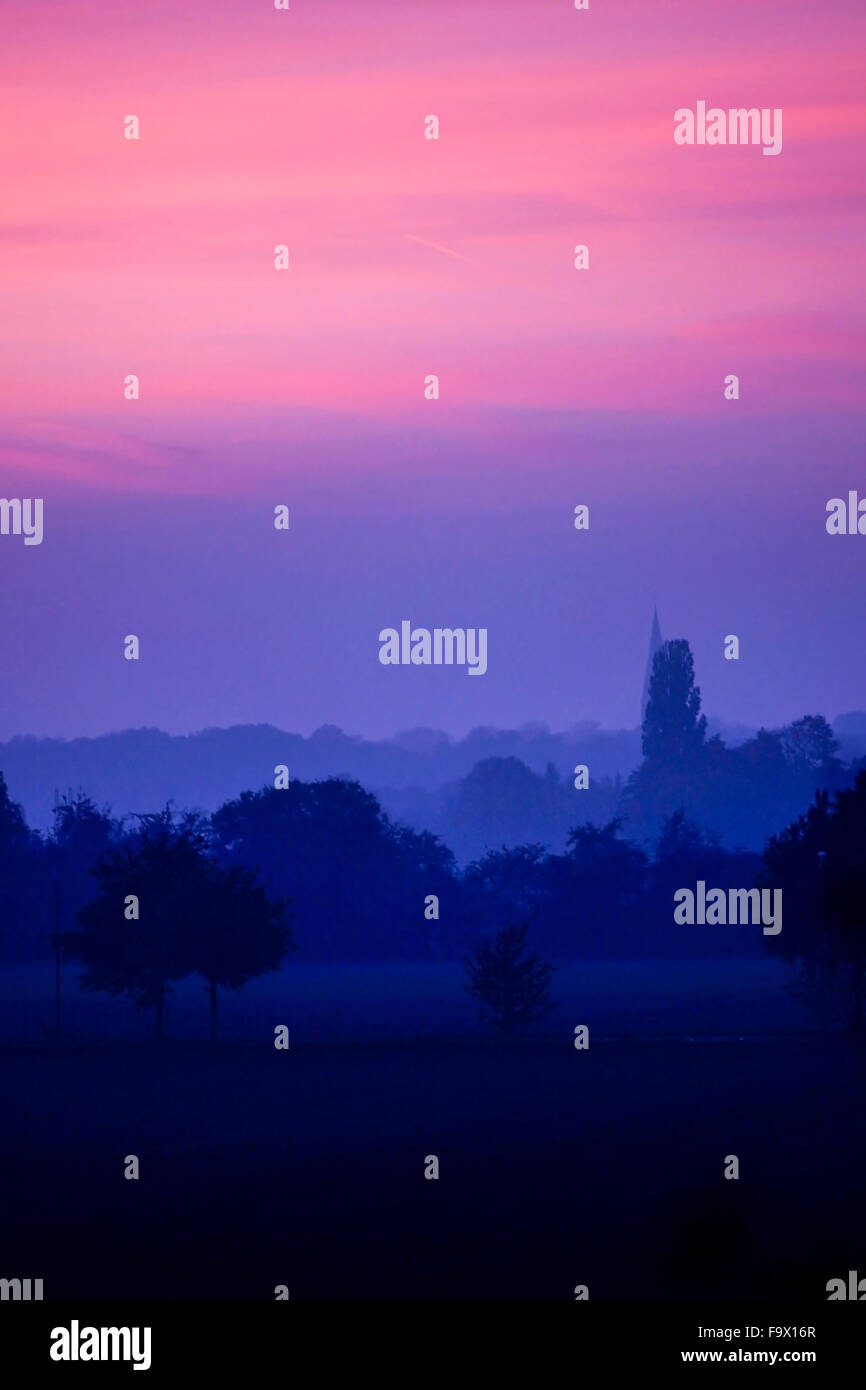 Deutschland, Nordrhein-Westfalen, Minden, Twilight in Auenwald Stockfoto