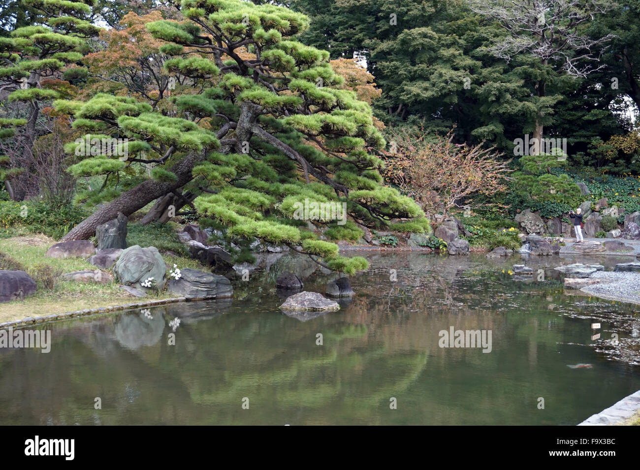 Einen Teich in der East Imperial Palace Gardens, Tokyo, Japan