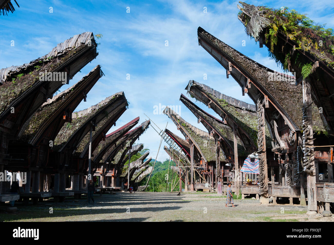 Dorf mit einheimischen und traditionellen Häusern von Tana Toraja auf Sulawesi Stockfoto