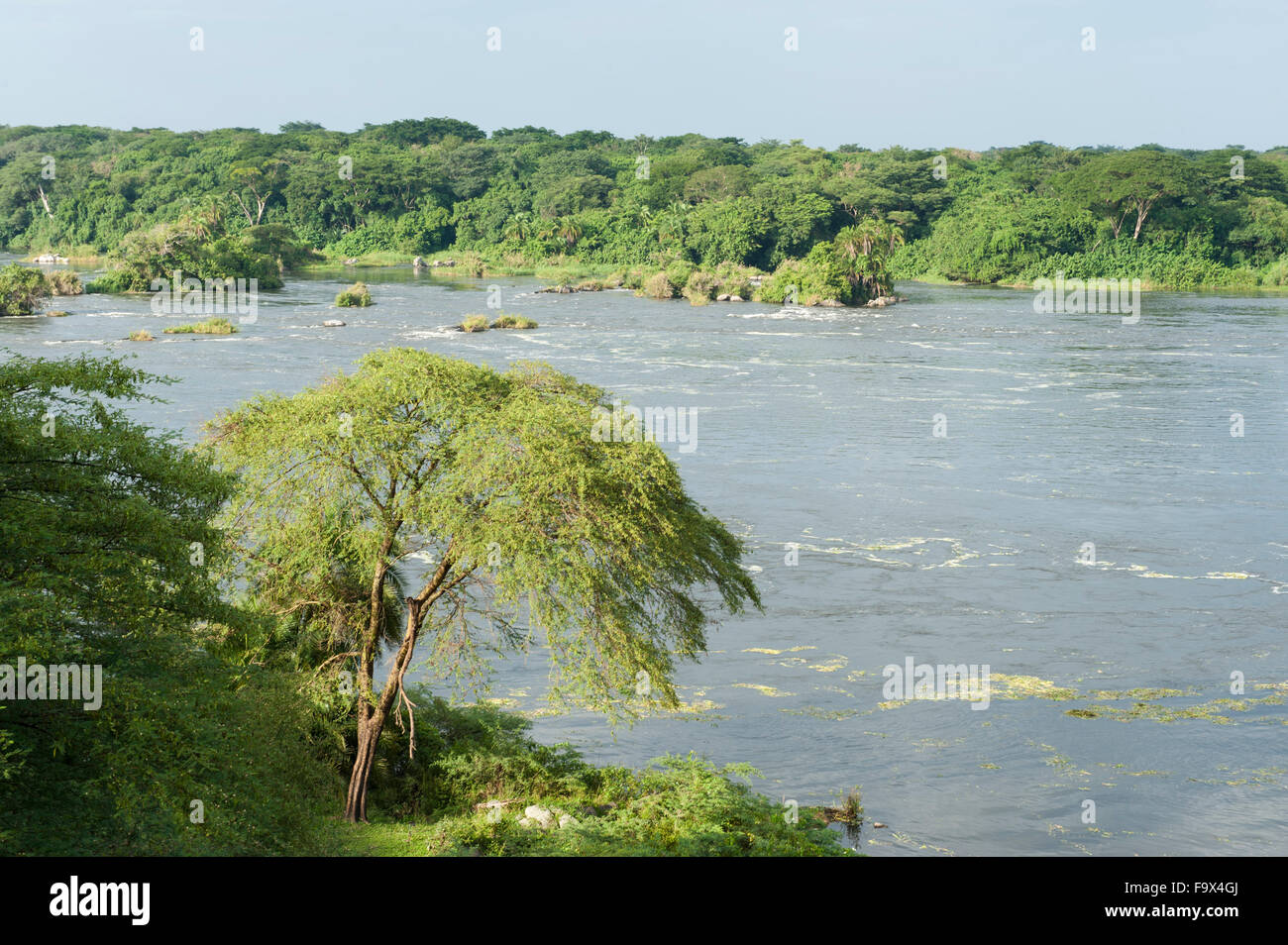 Die Victoria-Nil, Murchison Falls National Park, Uganda Stockfoto