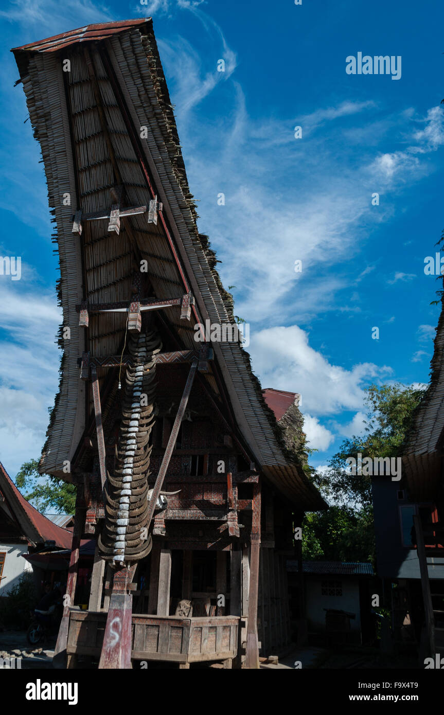 Traditionelle Haus verziert mit Carabao buffalo Hörner unter blauem Himmel Stockfoto