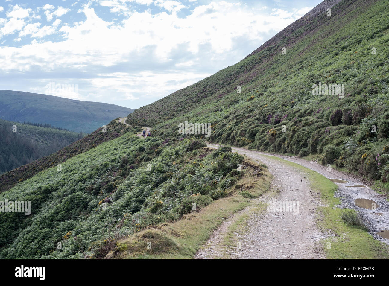 Wanderweg am Berghang, Trommel, Snowdonia, North Wales, UK Stockfoto