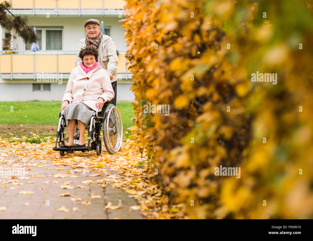 Senior woman Frau im Rollstuhl schieben Stockfoto
