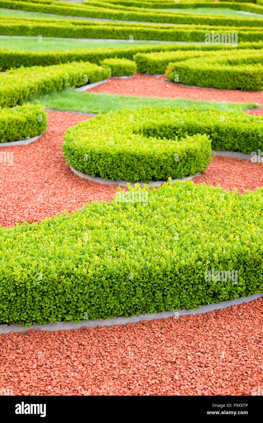Französischer Garten mit dekorativen Labyrinth Formschnitt an Schloss Rundale, Lettland Stockfoto