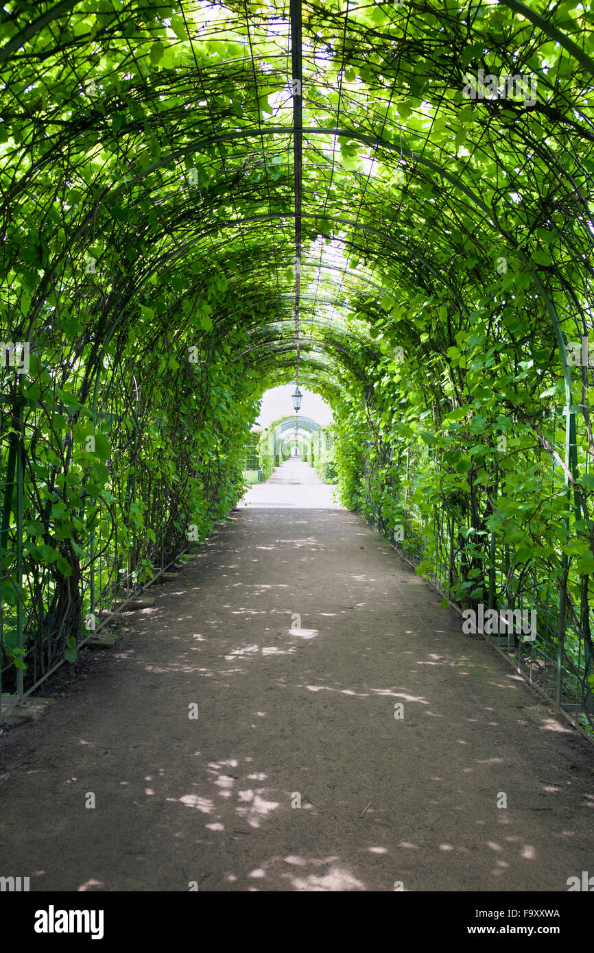 Formale Gärten, Rundale Palace Museum und Park, Lettland Stockfoto