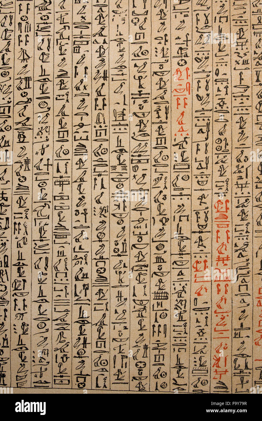 Ägyptische Hieroglyphen auf papyrus Stockfoto