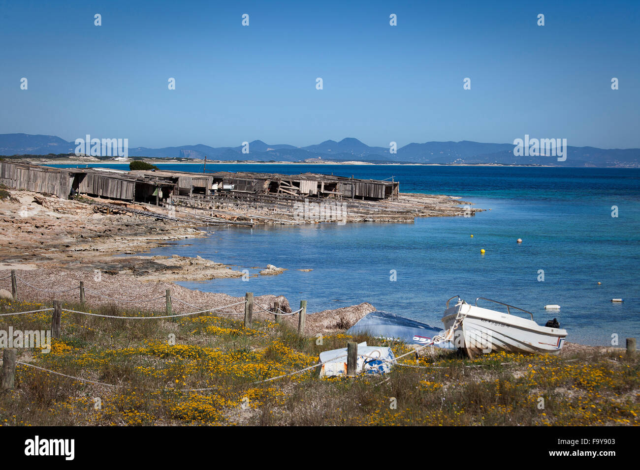 Ses Canyes Strand, Formentera. Balearischen Inseln. Formentera. Spanien Stockfoto