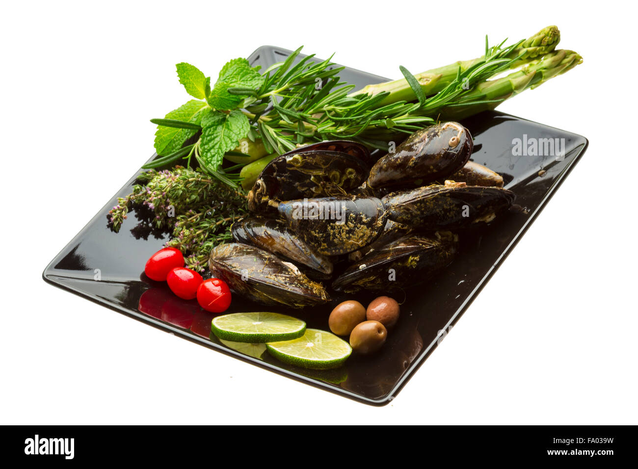 Wilde Muschel-Makro-Studio-Shooting Stockfoto