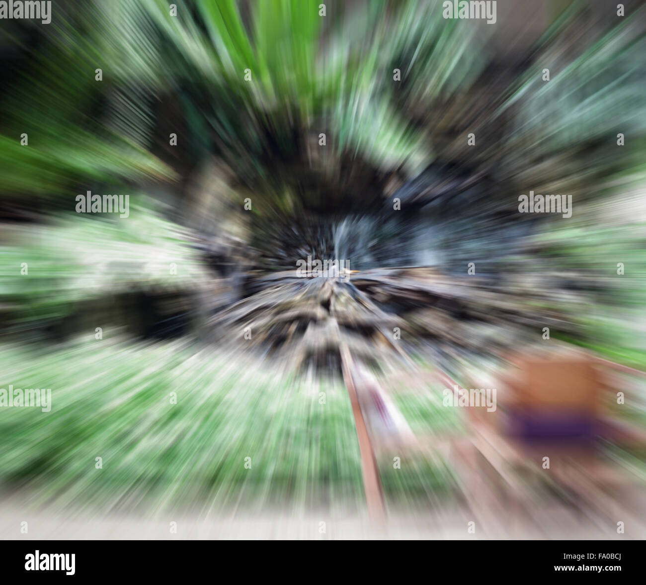 Abstrakte Zoom Blur Bewegung im Hausgarten, Fotoarchiv Stockfoto