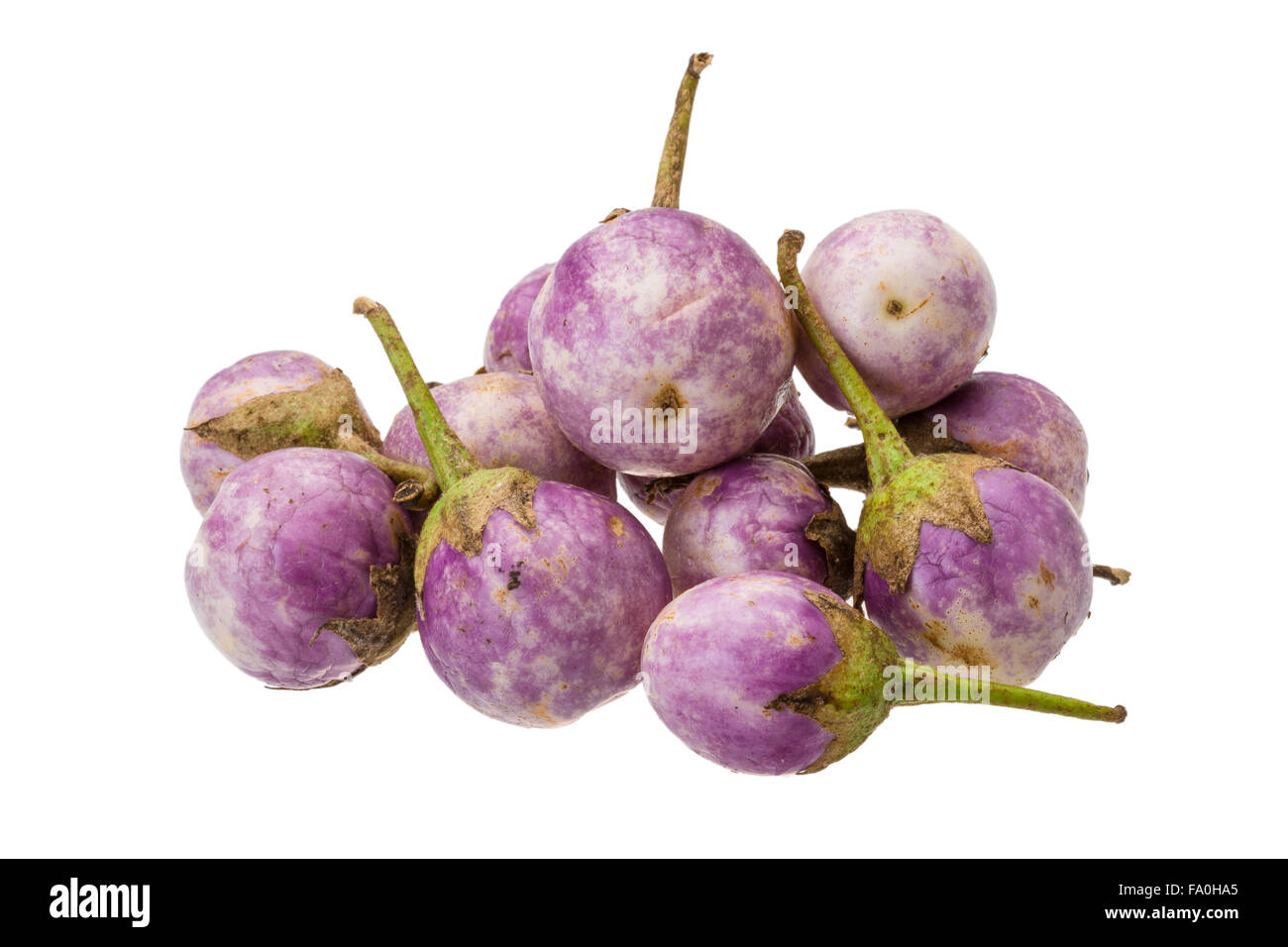 Asiatische violetten Auberginen isoliert Stockfoto