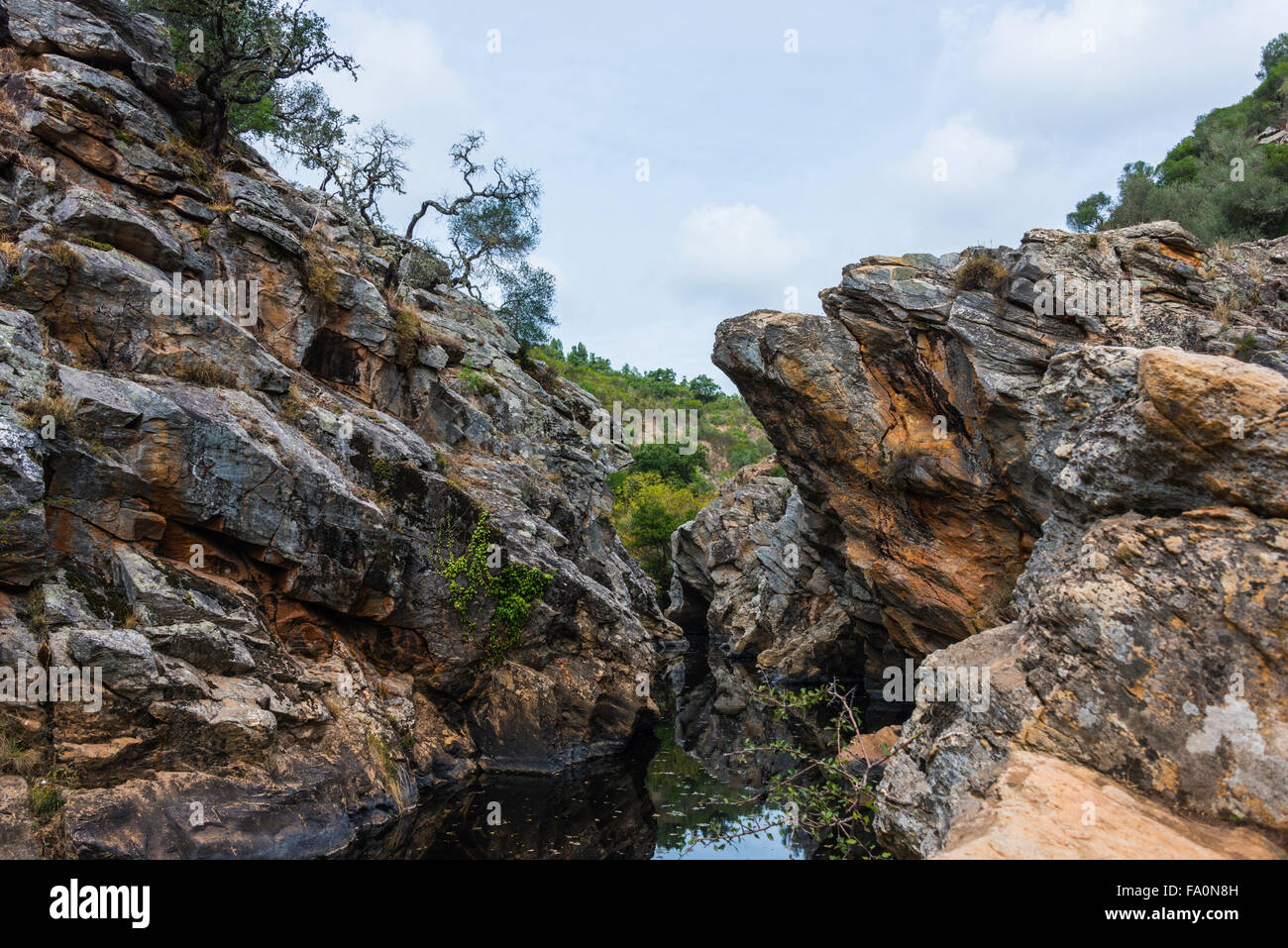kleiner Fluss mit Teich in Natur Portugal in der Nähe von Odemira genannt Pego des pias Stockfoto