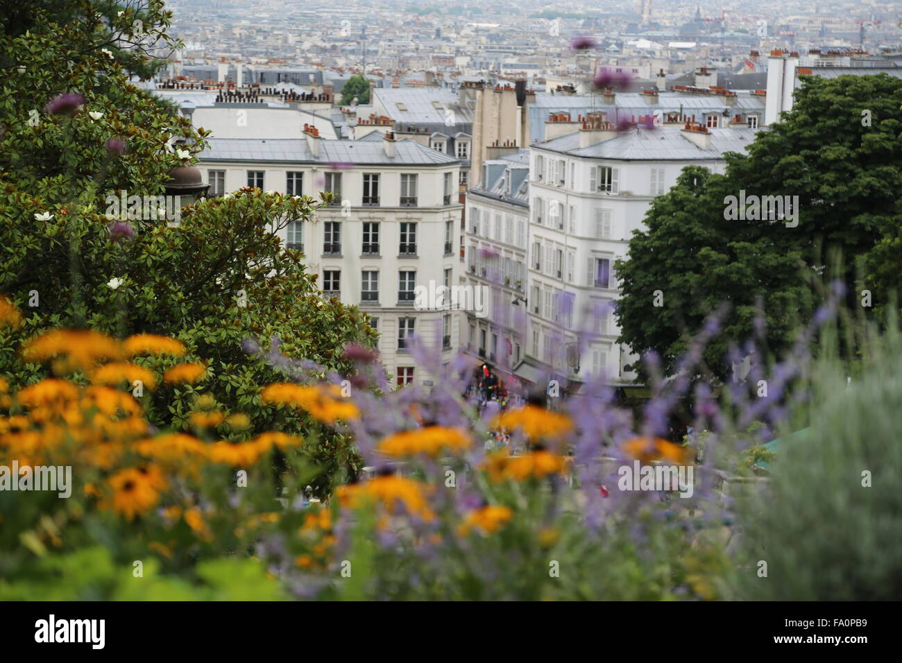 Ansicht von Paris von der Basilika der Heiligen Herzen von Paris, allgemein bekannt als Basilika Sacré-Cœur, mit Blumen im Vordergrund Stockfoto