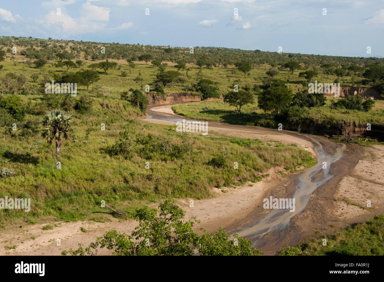 Nyamsika Cliffs Sicht, Murchison Falls National Park, Uganda Stockfoto