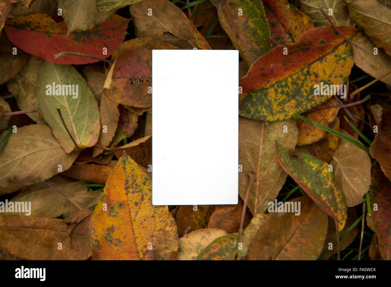 Leere Visitenkarte Vorlage Stockfoto