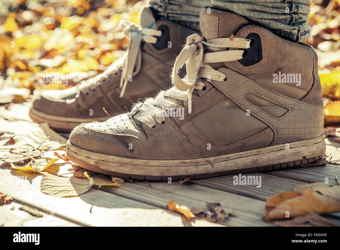 Warmen Sneaker filtern Sportschuh stehend Holzboden im herbstlichen Park, warme Tonwertkorrektur, Retro-Stil Foto Stockfoto