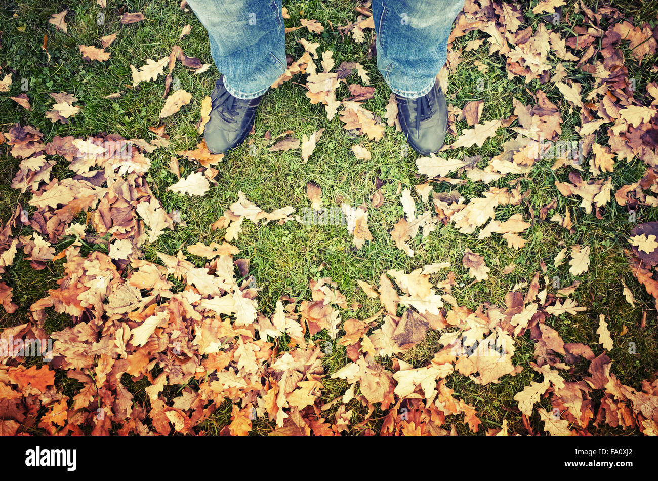 Männliche Füße in Blue Jeans und schwarze Schuhe stehen auf grünen Park Rasen mit herbstlichen Blättern, warme Tonwertkorrektur Fotofilter Stockfoto