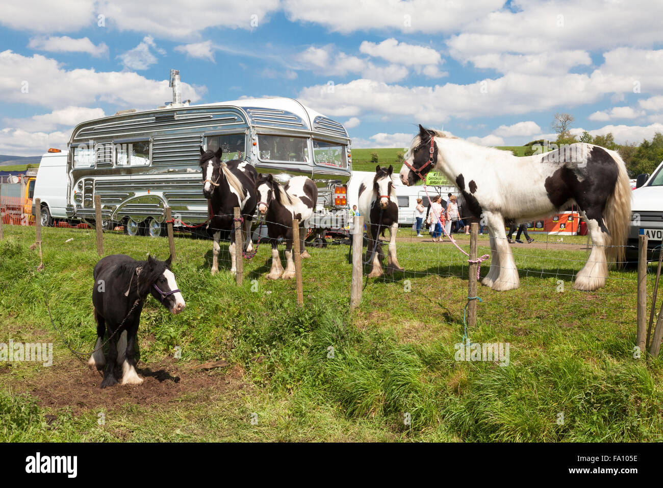 Appleby Horse Fair, Appleby in Westmorland, Cumbria, England, Großbritannien Stockfoto