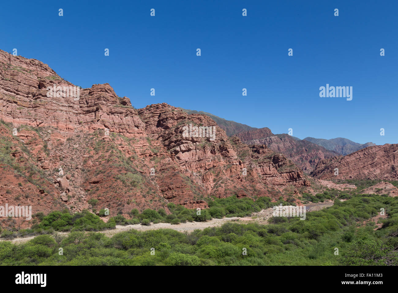 Felsformationen in der Quebrada de Las Conchas im Nordwesten Argentiniens. Stockfoto