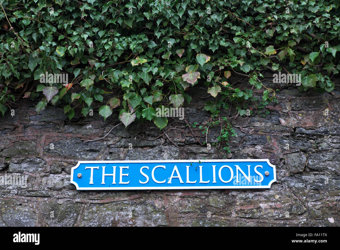 Die Frühlingszwiebeln Namen Straße Schild in Presteigne Powys Wales Stockfoto
